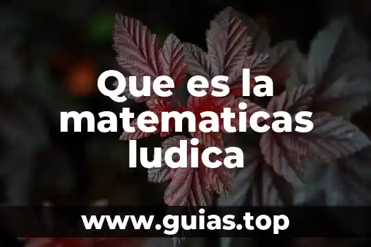 Qué es diferencia en matemáticas fianzas 5 Que es la matematicas ludica