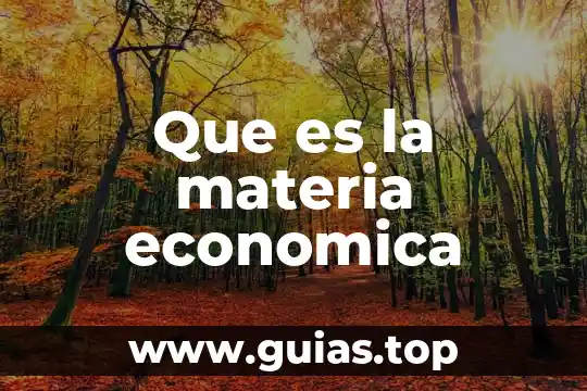 Que es solidez economica 4 Que es la materia economica