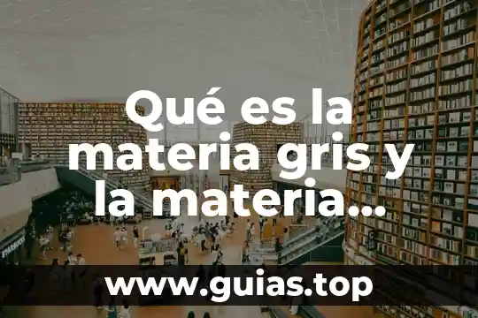 Qué es la materia gris y la materia blanca