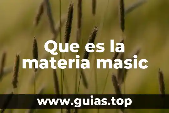 Que es ser teniente militar 8 Que es la materia masic