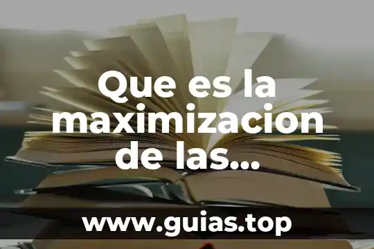 Que es largo corto y mediano plazo 5 Que es la maximizacion de las utilidades a corto plazo