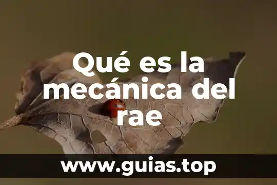 Qué es psicología rae 8 Qué es la mecánica del rae