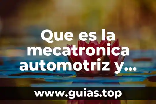Etimología que es que estudia 5 Que es la mecatronica automotriz y que estudia