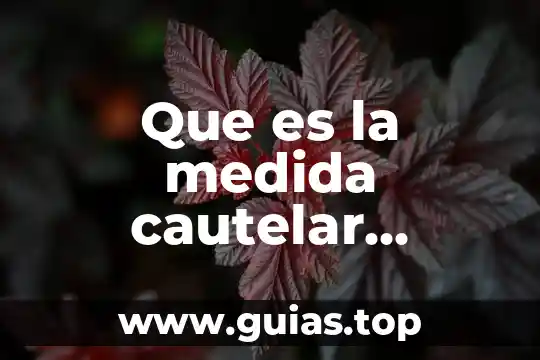 Que es la administracion de cuentas por cobrar concepto 6 Que es la medida cautelar embargo de cuentas bancarias