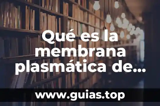 Que es una membrana tilacoidal definicion 4 Qué es la membrana plasmática de la célula procariota