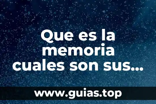 Qué es un sindicato y cuáles son sus funciones 6 Que es la memoria cuales son sus tipos