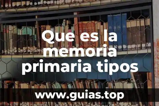 Tipos de vista que es 6 Que es la memoria primaria tipos