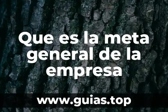 Que es la meta general de la empresa