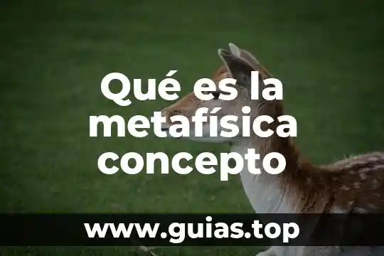 Según la metafísica que es sobriedad 4 Qué es la metafísica concepto