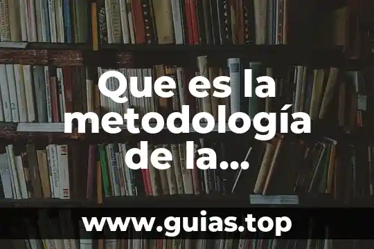 Que es la investigación de proveedores nacionales y extranjeros 3 Que es la metodología de la investigación prezi