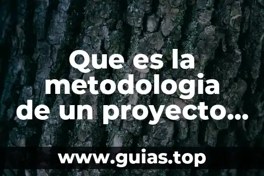 Que es el metodologia de programacion 3 Que es la metodologia de un proyecto de grado