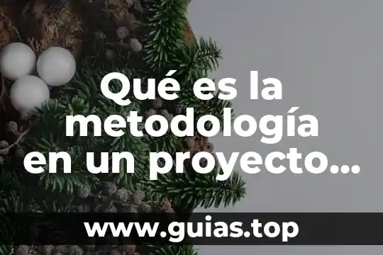 Que es el metodologia de programacion 5 Qué es la metodología en un proyecto final