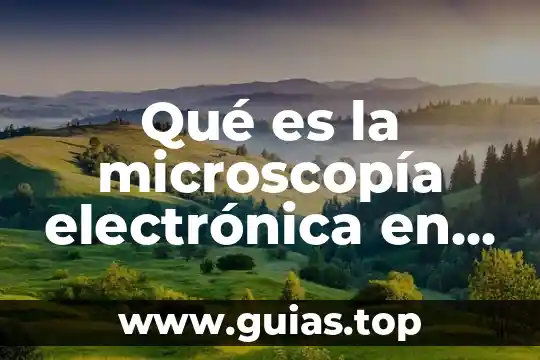 Qué es la microscopía electrónica en general