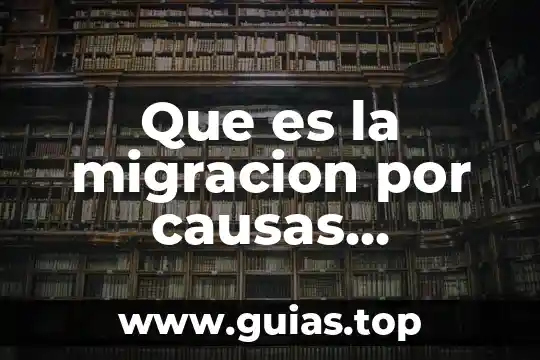 Que es un año bisiesto concepto 5 Que es la migracion por causas economicas concepto