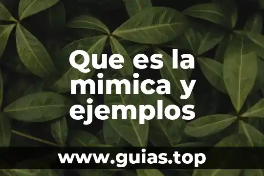 Que es albur ejemplos 7 Que es la mimica y ejemplos