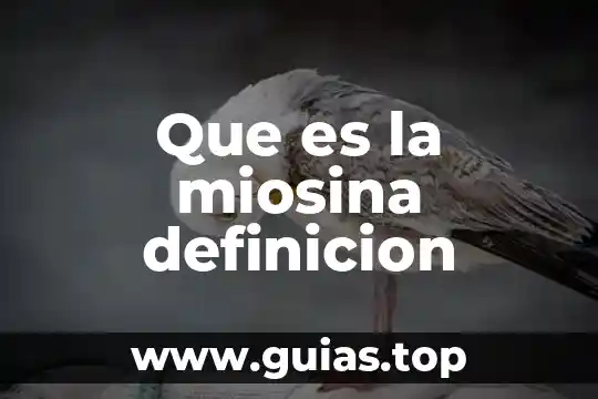 Qué es faltas definición 7 Que es la miosina definicion
