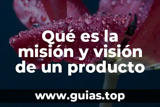 Botón de disparo con visión en directo que es 5 Qué es la misión y visión de un producto