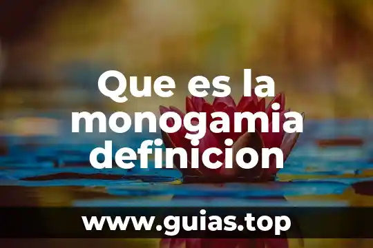 Qué es faltas definición 6 Que es la monogamia definicion