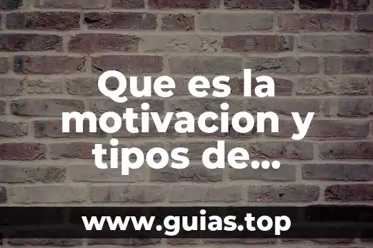 Que es un toroide tipos 6 Que es la motivacion y tipos de motivacion