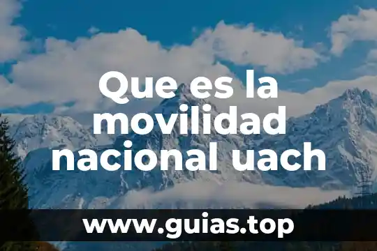 Tipos de movilidad dental y qué es 5 Que es la movilidad nacional uach