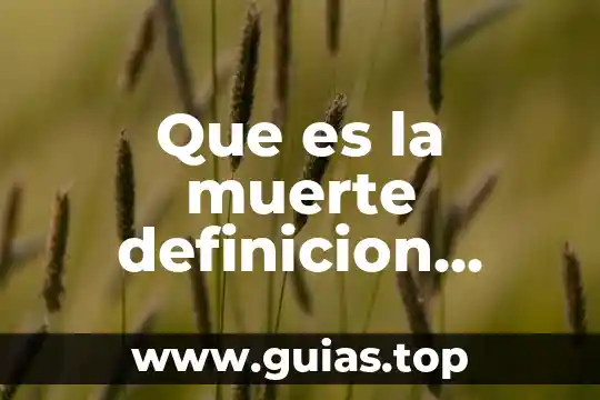 Qué es una jirafa definición 7 Que es la muerte definicion biblica