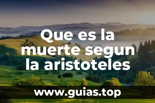 Que es sera duelo a muerte con cuchillos 4 Que es la muerte segun la aristoteles