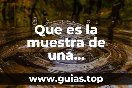 Que es un dial de sol 3 Que es la muestra de una investigacion