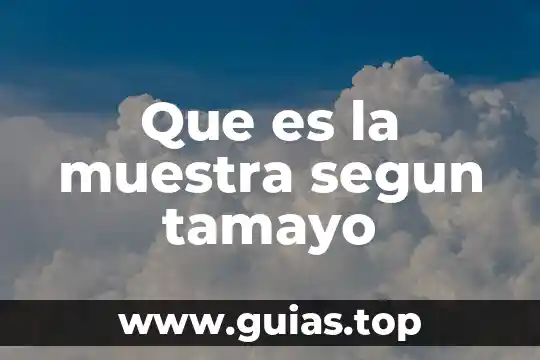 Qué es una reglas concepto 3 Que es la muestra segun tamayo