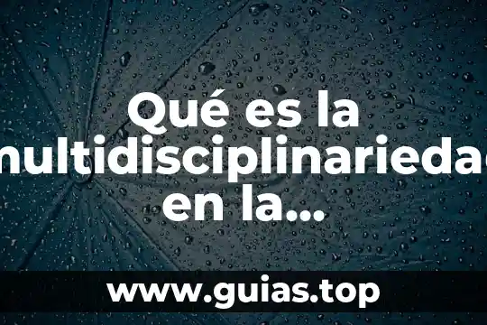 Que es la educacion institucional 3 Qué es la multidisciplinariedad en la educación