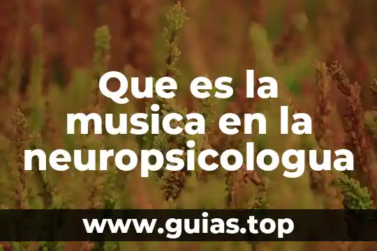 Que es la orquesta que tipos de musica interpreta 3 Que es la musica en la neuropsicologua