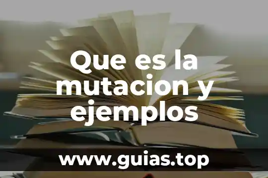 Ejemplos sencillos que es el paradigma de la complejidad 3 Que es la mutacion y ejemplos