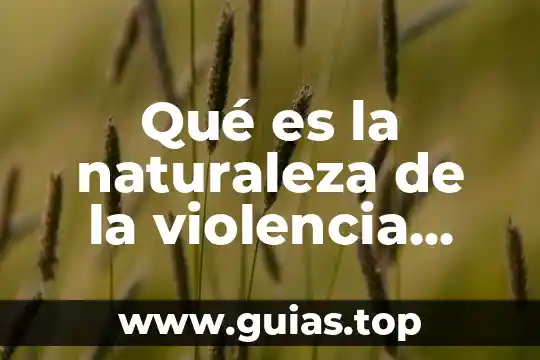 Qué es violencia intrafamiliar concepto 6 Qué es la naturaleza de la violencia difine