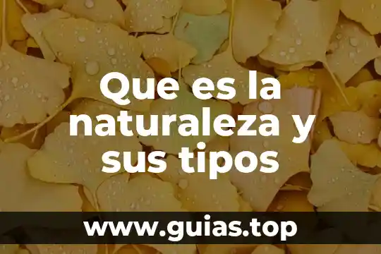 Qué es sinónimo y tipos 7 Que es la naturaleza y sus tipos