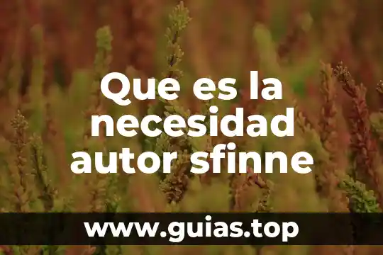 Qué es necesidad concepto 3 Que es la necesidad autor sfinne