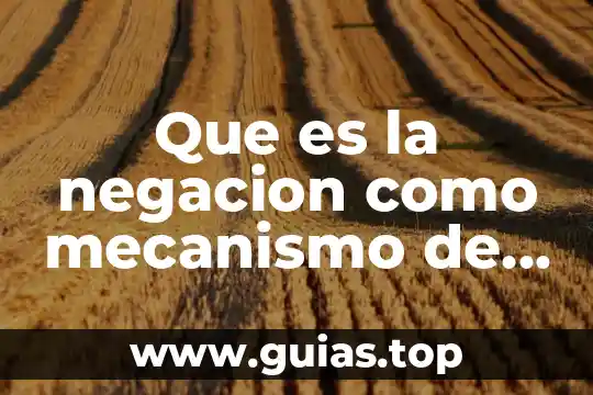 Que es la ley de defensa de la competencia 5 Que es la negacion como mecanismo de defensa