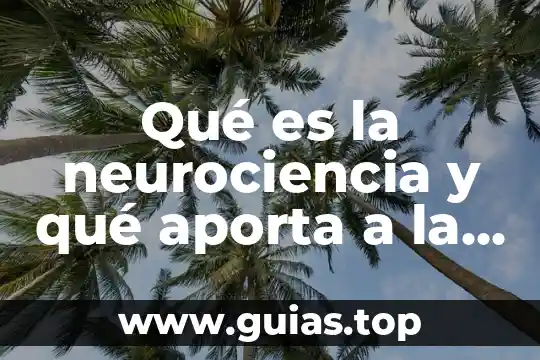 Que es la evaluacion clinica en psicologia 4 Qué es la neurociencia y qué aporta a la psicología