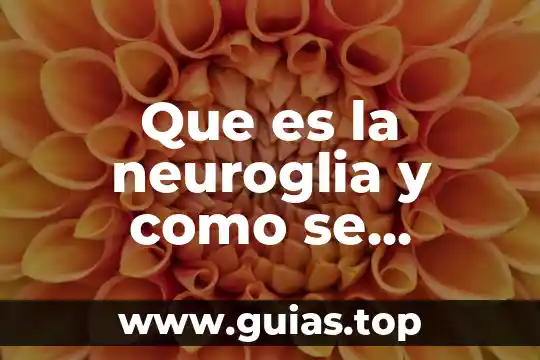 Qué es la manga elementos 8 Que es la neuroglia y como se clasifican sus elementos