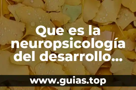 Qué es cotidianidad según autores concepto 5 Que es la neuropsicología del desarrollo segun autores