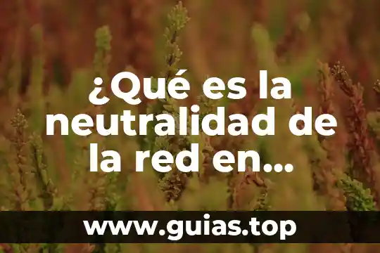 Qué es la libertad condicional en estados unidos 8 ¿Qué es la neutralidad de la red en Estados Unidos?