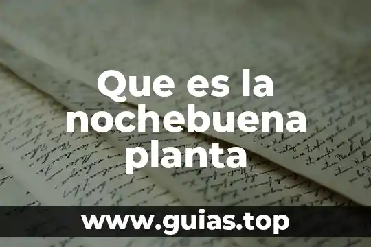 Qué es aptitud de una planta 4 Que es la nochebuena planta