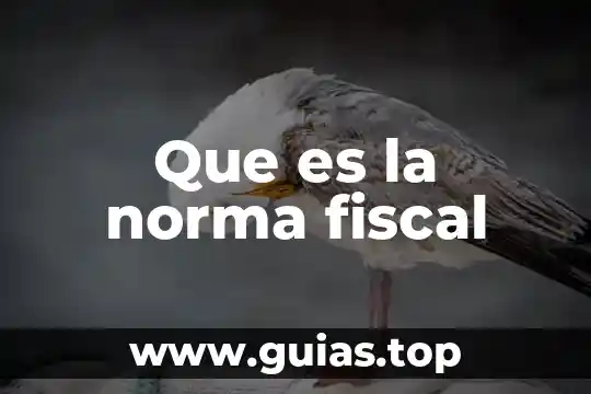 Que es un efectos fiscal en contabilidad 6 Que es la norma fiscal