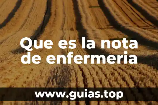 Para que es una nota de investigacion 4 Que es la nota de enfermeria