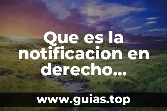 Que es el principio de inmediatez procesal en materia laboral 6 Que es la notificacion en derecho procesal