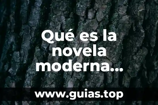 Que es la comida moderna 8 Qué es la novela moderna concepto