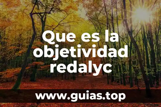 Que es la unidad terapeutica redalyc 4 Que es la objetividad redalyc