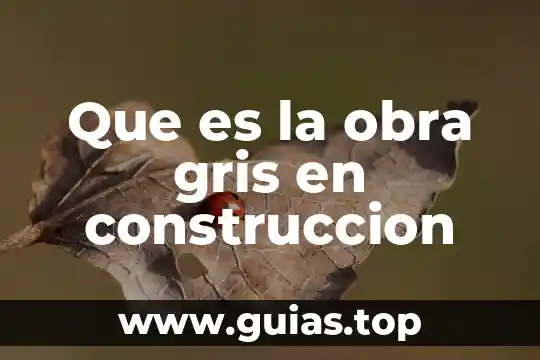 Que es la obra gris en construccion