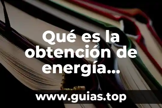 Que es la energia exotermica y endotermica 3 Qué es la obtención de energía nutricional