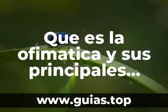 Que es tecnica en la ofimatica 6 Que es la ofimatica y sus principales caracteristicas