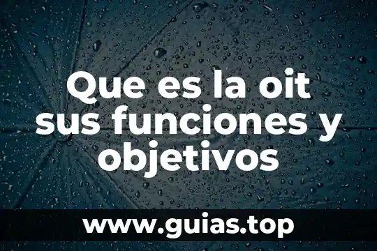 Que es objetivos o propósitos de una tesis 4 Que es la oit sus funciones y objetivos