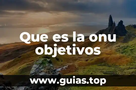 Que es prevencion animal segun la onu 3 Que es la onu objetivos